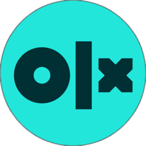 website icon