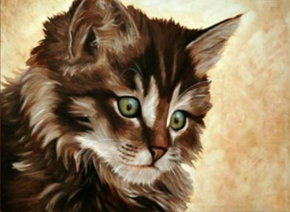 Кот