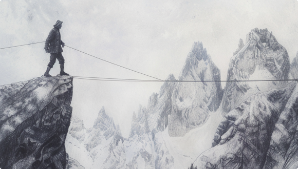 Swiss Direct, Risk Management