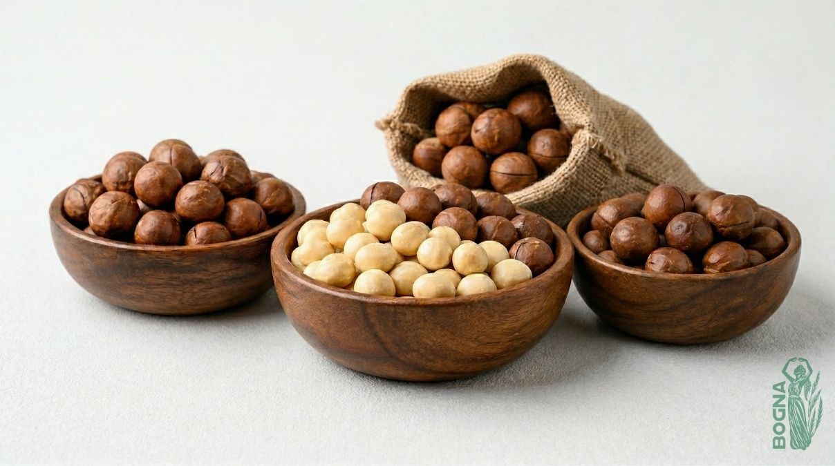 Macadamia Nuts from Vietnam Bogna Trade