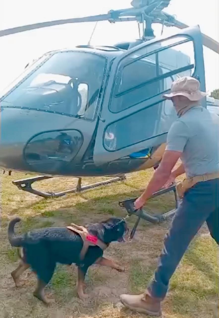 VONFIDEL K9 handler conducting working dog training beside a helicopter