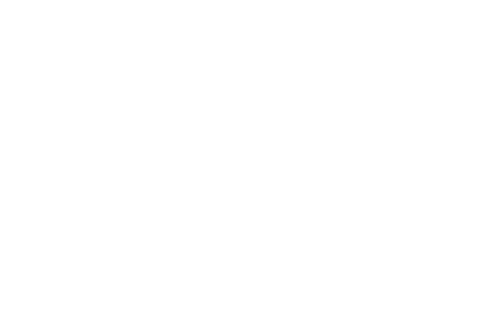 22tranzit