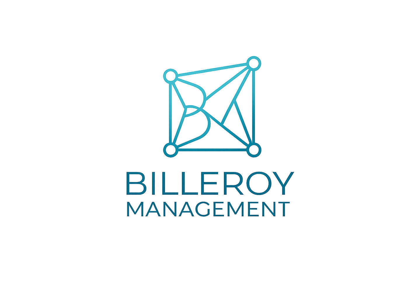  Billeroy Management Consultancies 