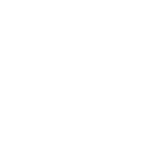 website icon