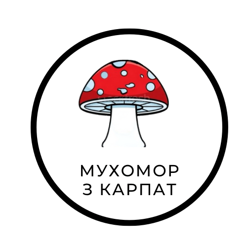Мухомор червоний купити - Мухомор з карпат - Сушений мухомор - Мікродозинг