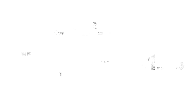 NULL TENEBRIS