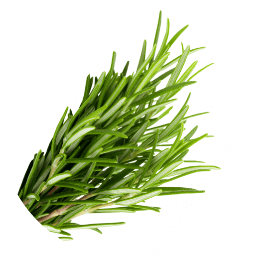 Эфирное масло розмарина