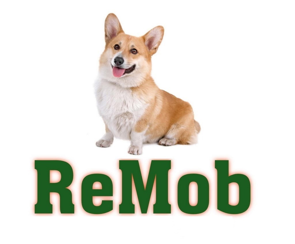  ReMob official service and Store 