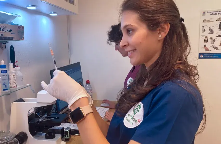 Vaccination DES chiens