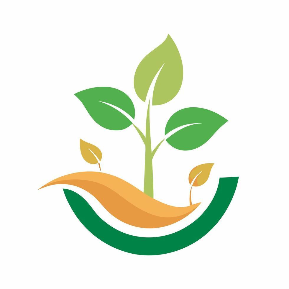  Каталог Насіння Овочів 