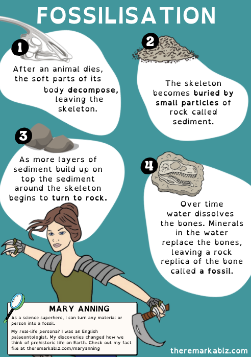 Educational infographic poster explaining fossilisation in four illustrated steps. Includes superhero version of Mary Anning with text about her real-life role as a pioneering palaeontologist and her science-themed superpower to turn things into fossils.