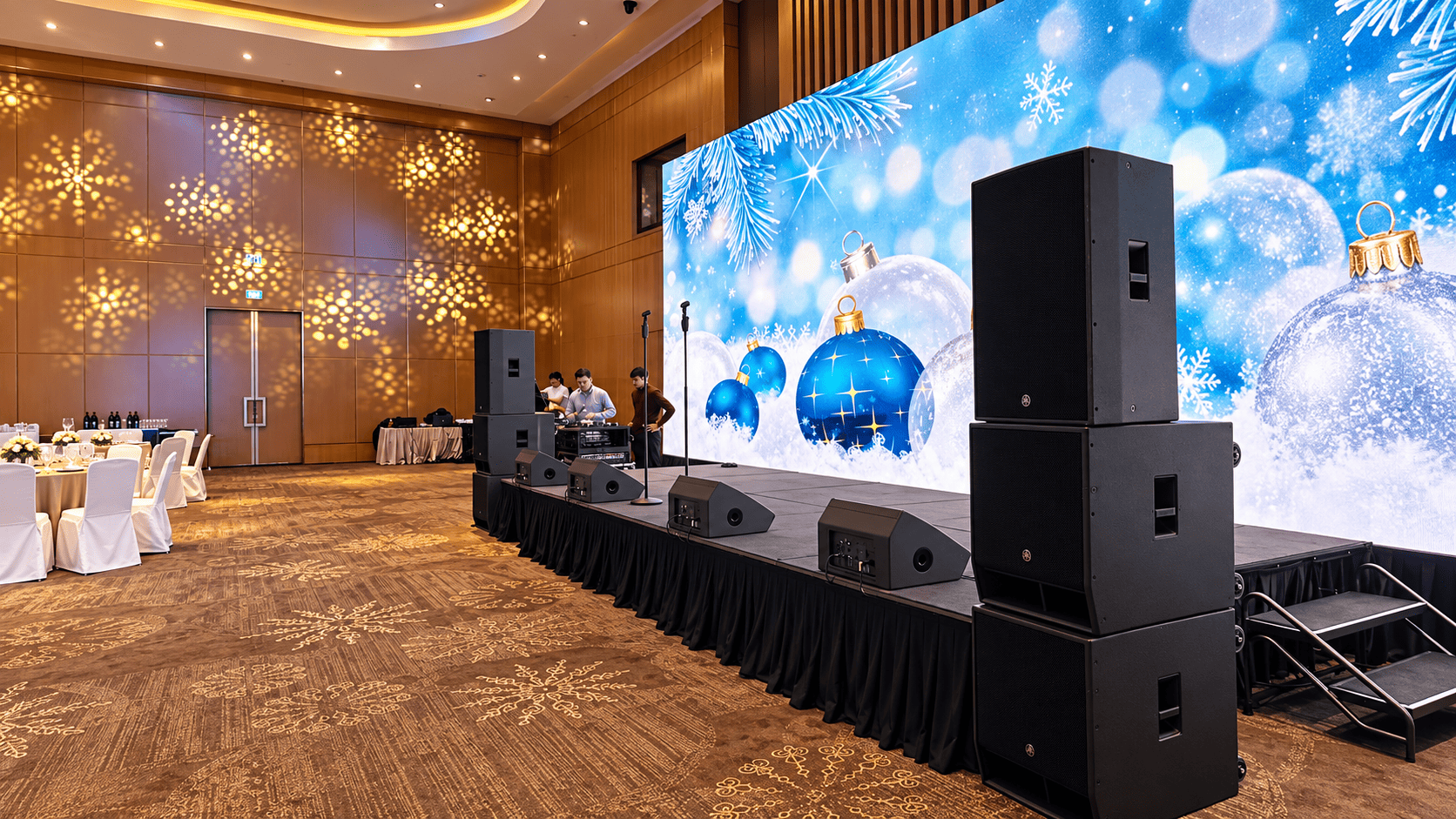 Professional acoustic systems
