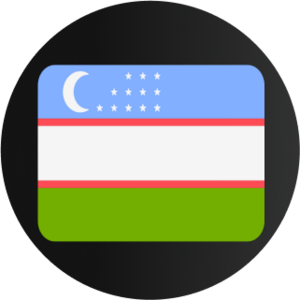 website icon
