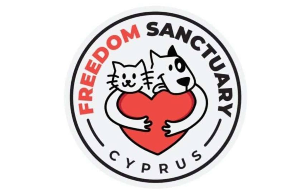 freedom sanctuary, rescued dogs and cats, disabled cats and dogs, north cyprus, kyrenia, girne, lapta, alsancak, charity