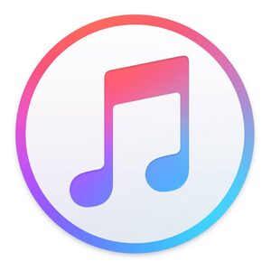 website icon