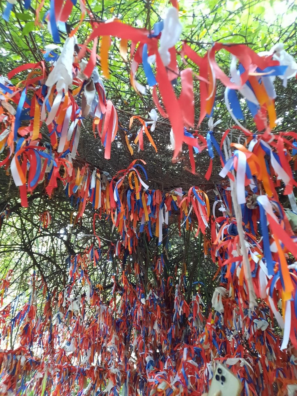 Панорама гор с Гомборского перевала