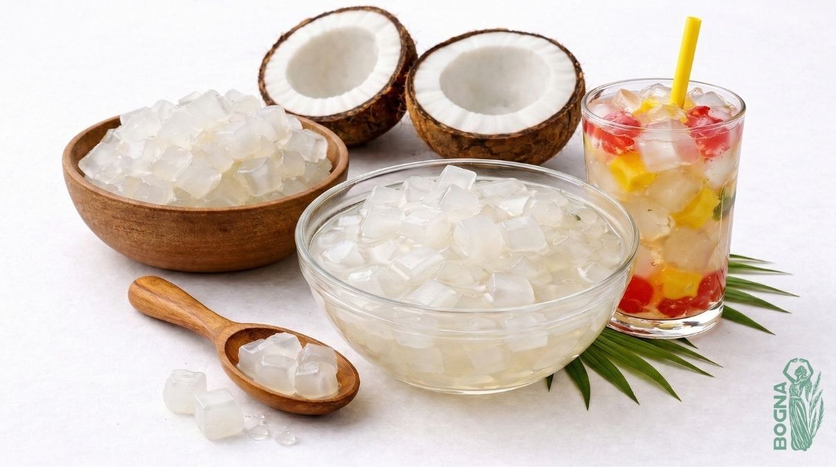 Coconut Jelly - Nata de Coco from Vietnam Bogna Trade