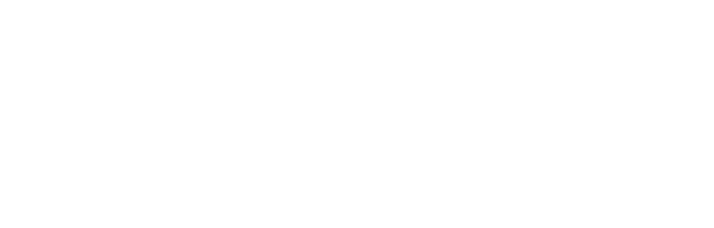TEAM University