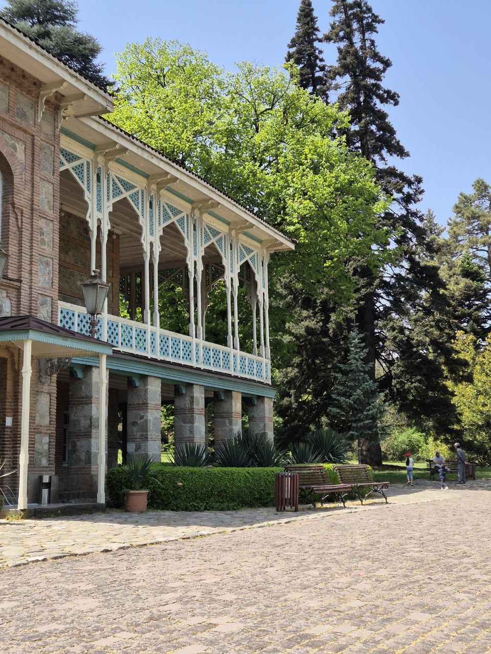 900-летний платан в Телави