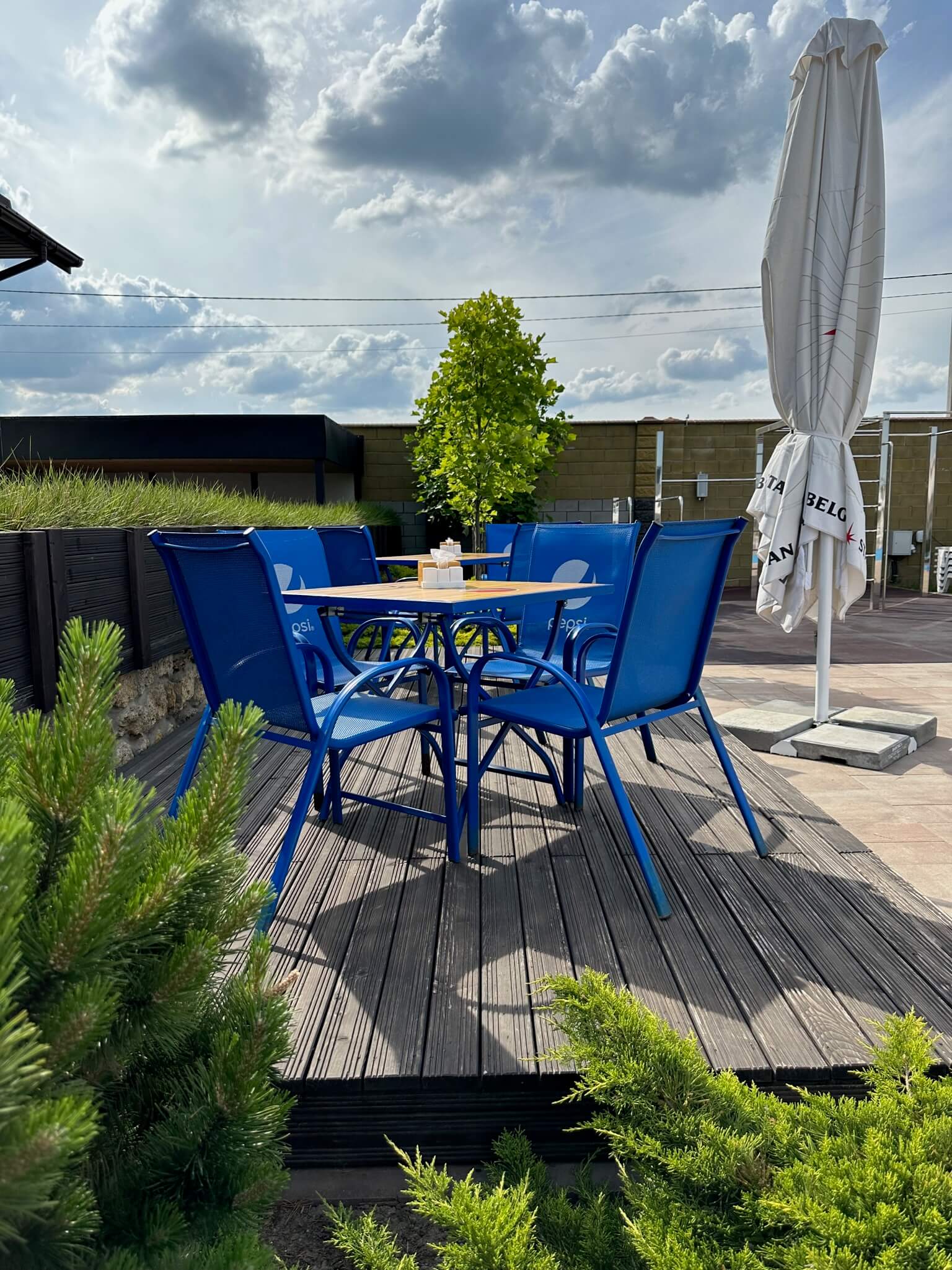 Пергола з модрини