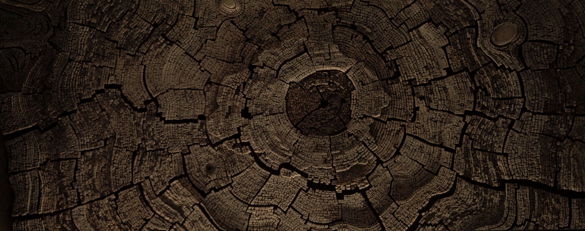 Wood Wall Decor Legend of Gondwana Project Wall Art by Tor Design