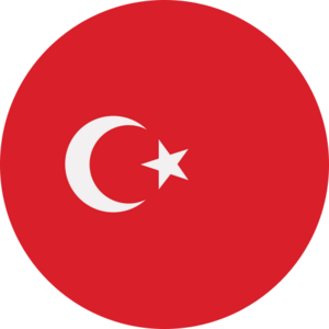 website icon