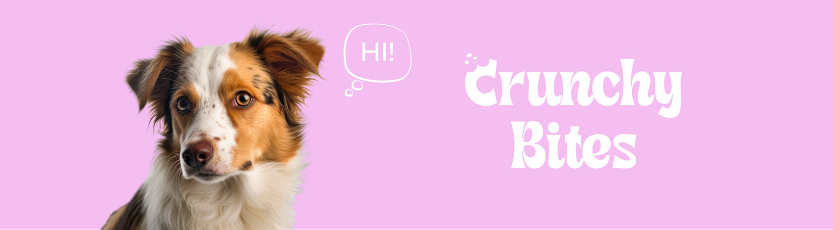 Crunchy Bites banner by Yugen Branding