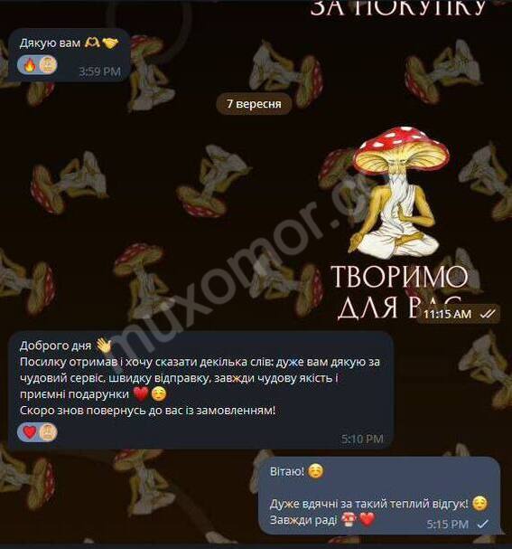 Мухомор красный отзывы микродозирования