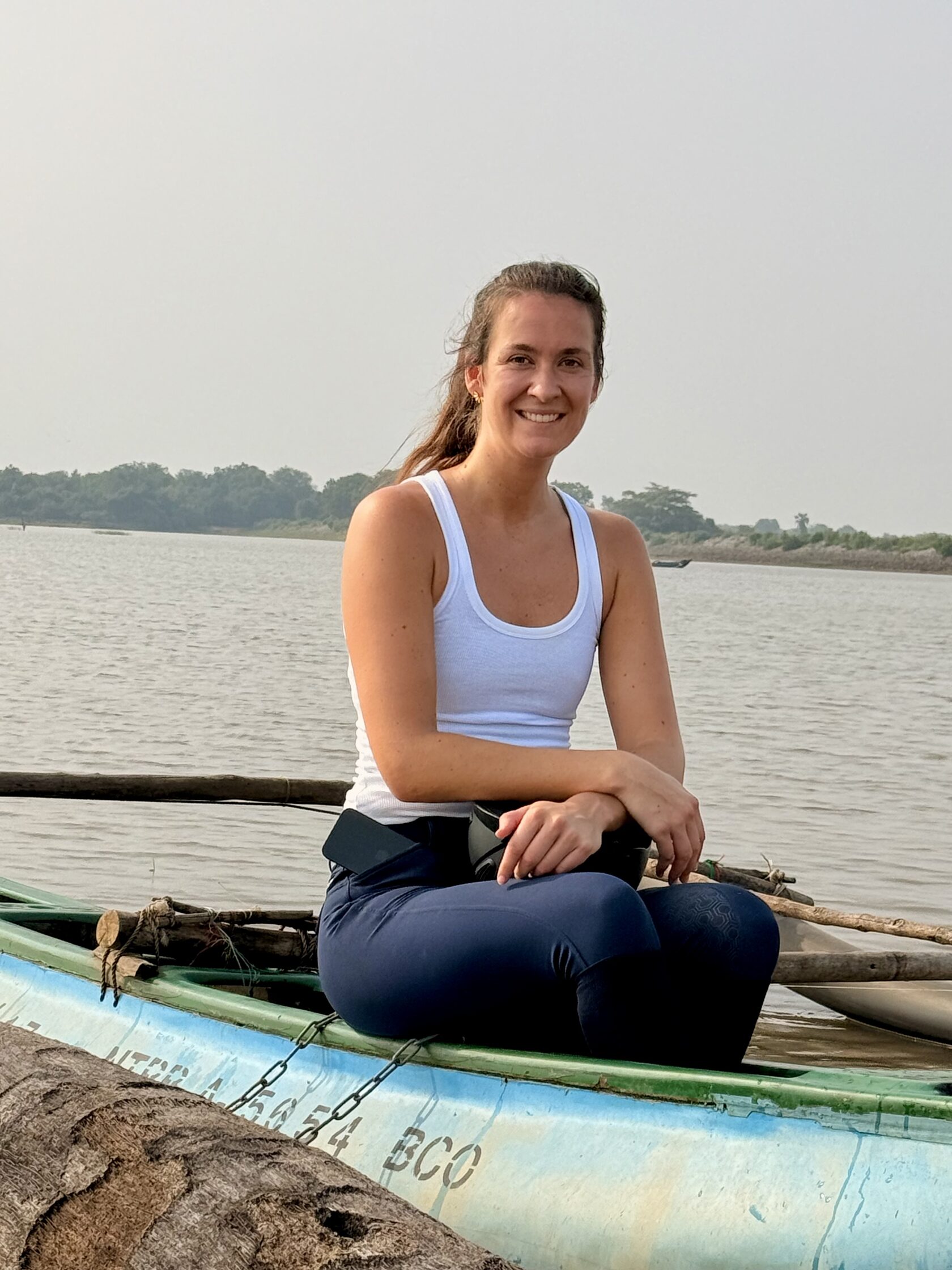 Horse at rest reflecting welfare-first riding standards
