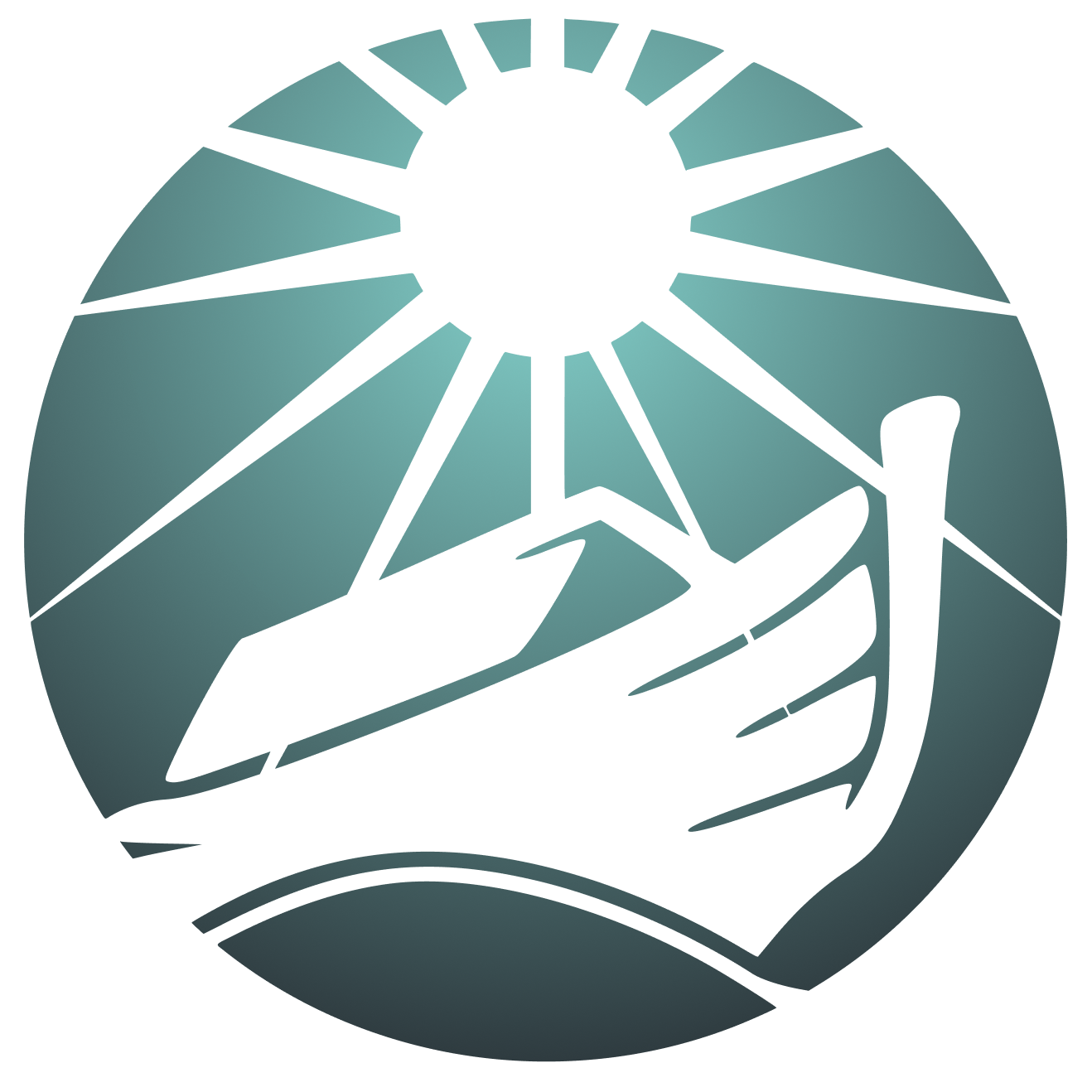 Noah`s Ark logo