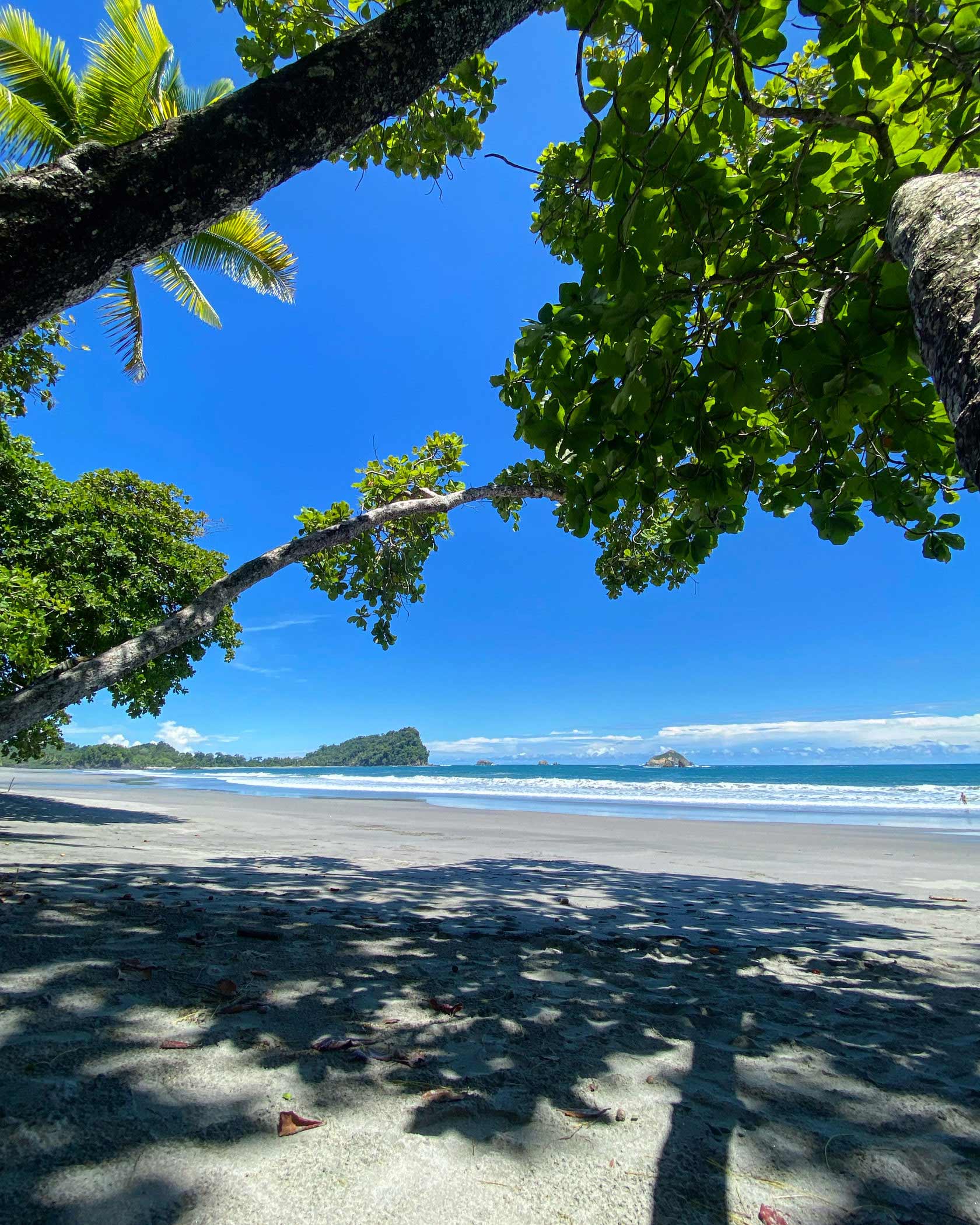 Playa Espadilla seen from under the beach almonds — a mile of sand toward Cathedral Point