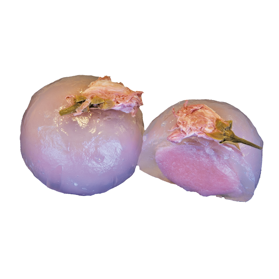 Sakura Mochi