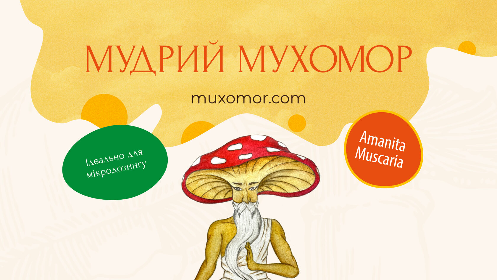 Мухомори купити капелюшки, мікродозинг сушеного мухомору червоного у ...