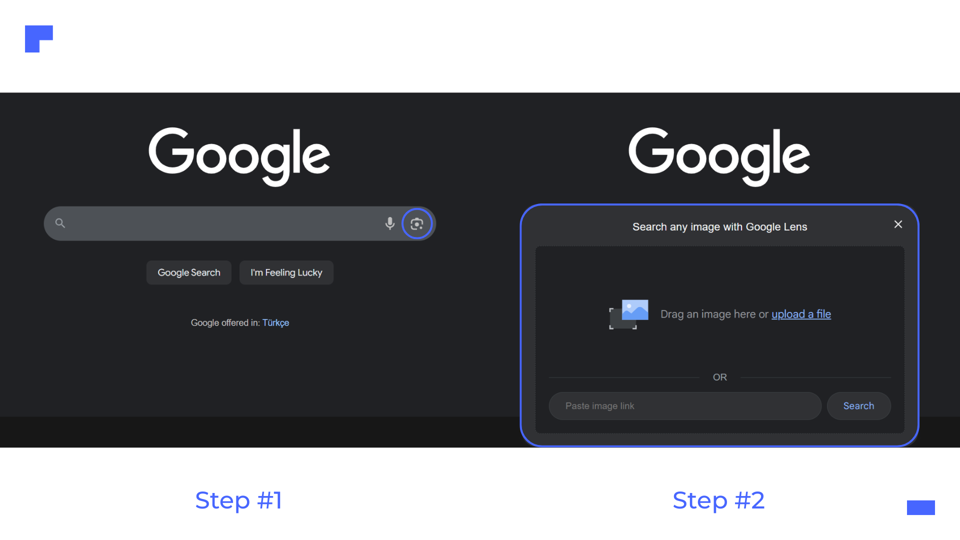 Checking logo originality with Google Image Search