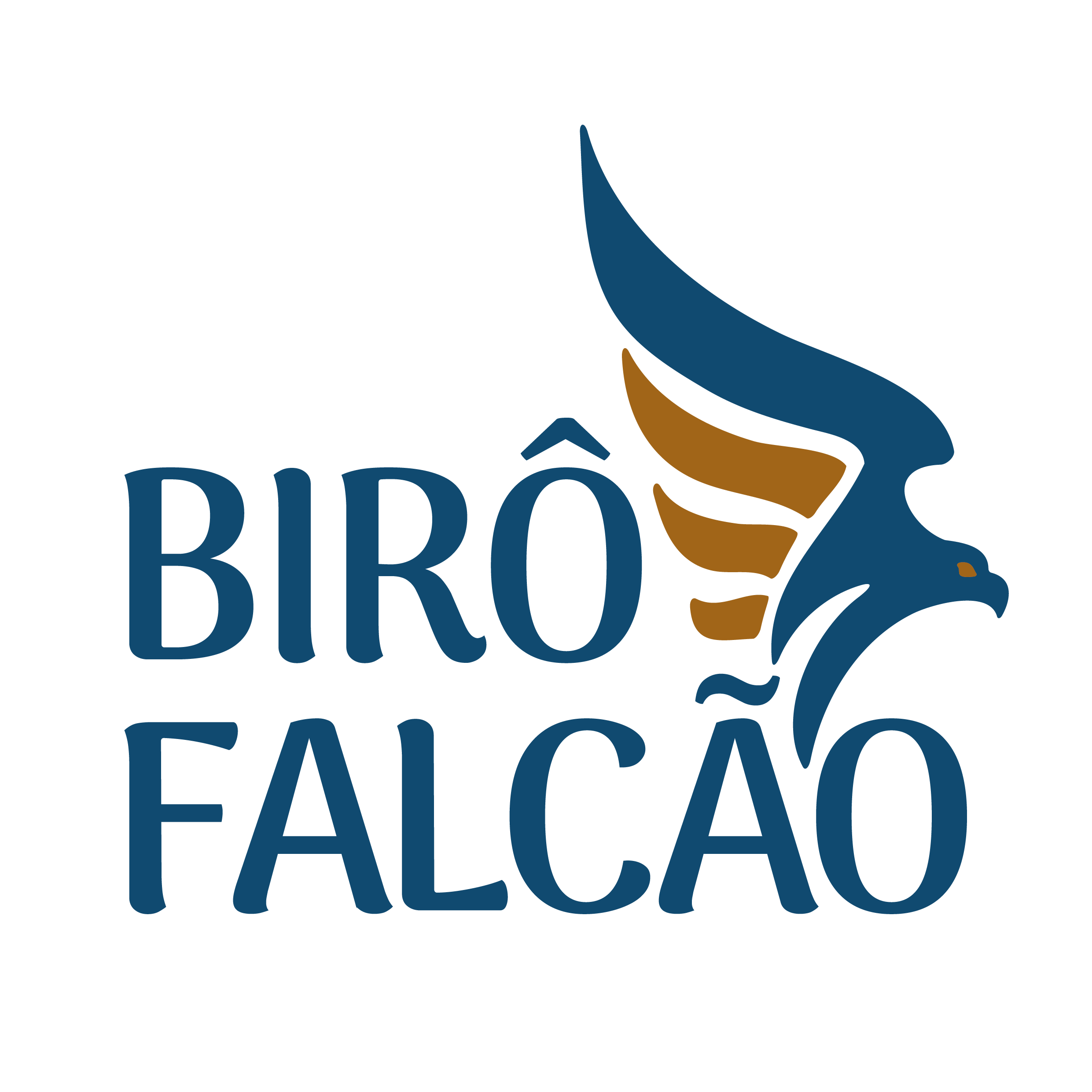 BIRÔ FALCÃO