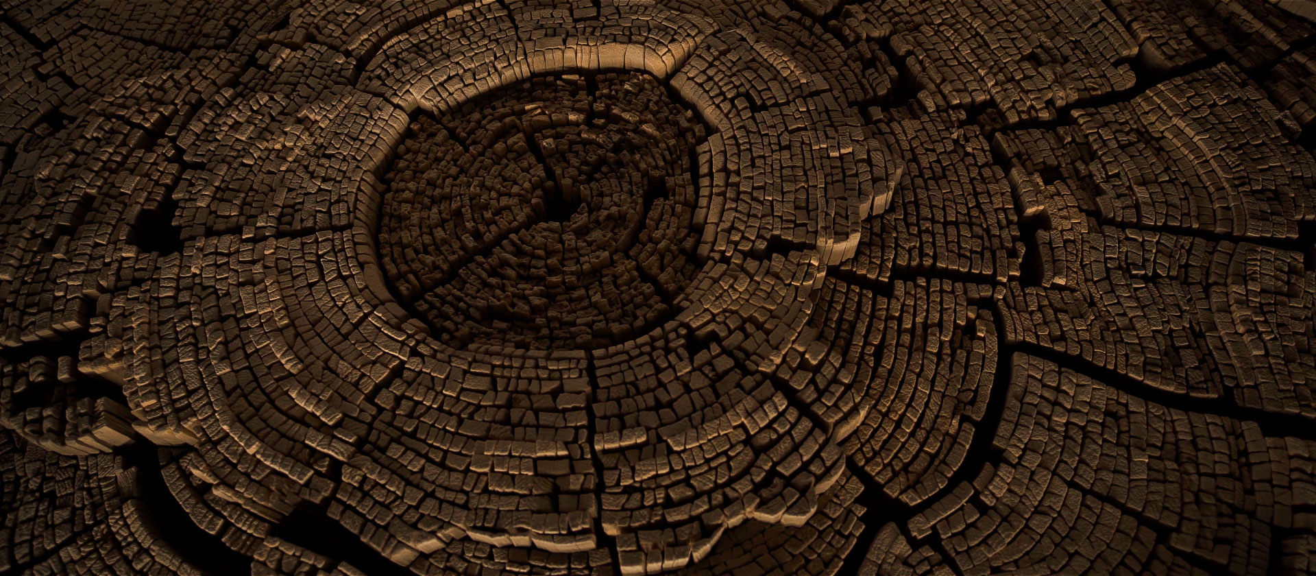 Wall Decor Panel Design by Tor Design