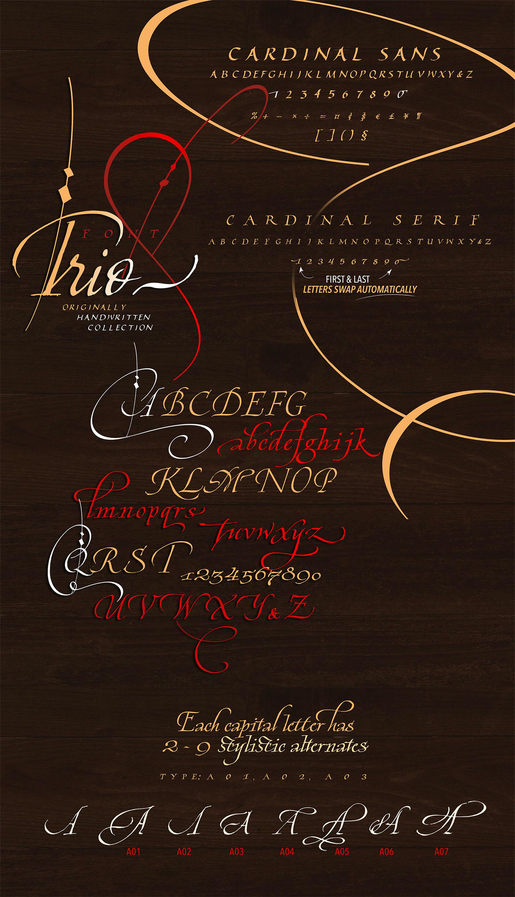 Cardinal Font | Italic Fonts - Blessed Print