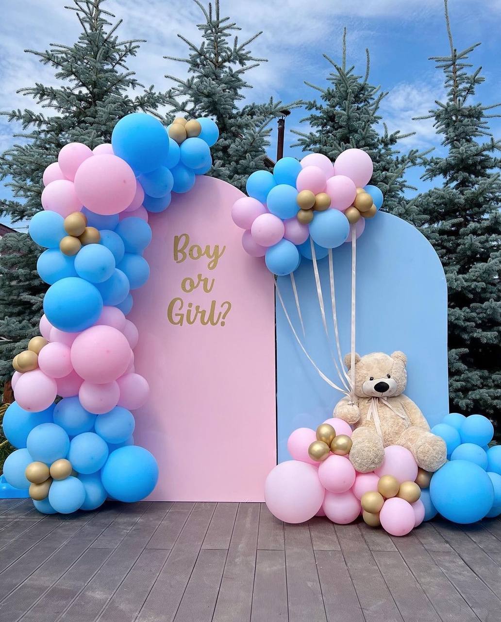 Гендер пати