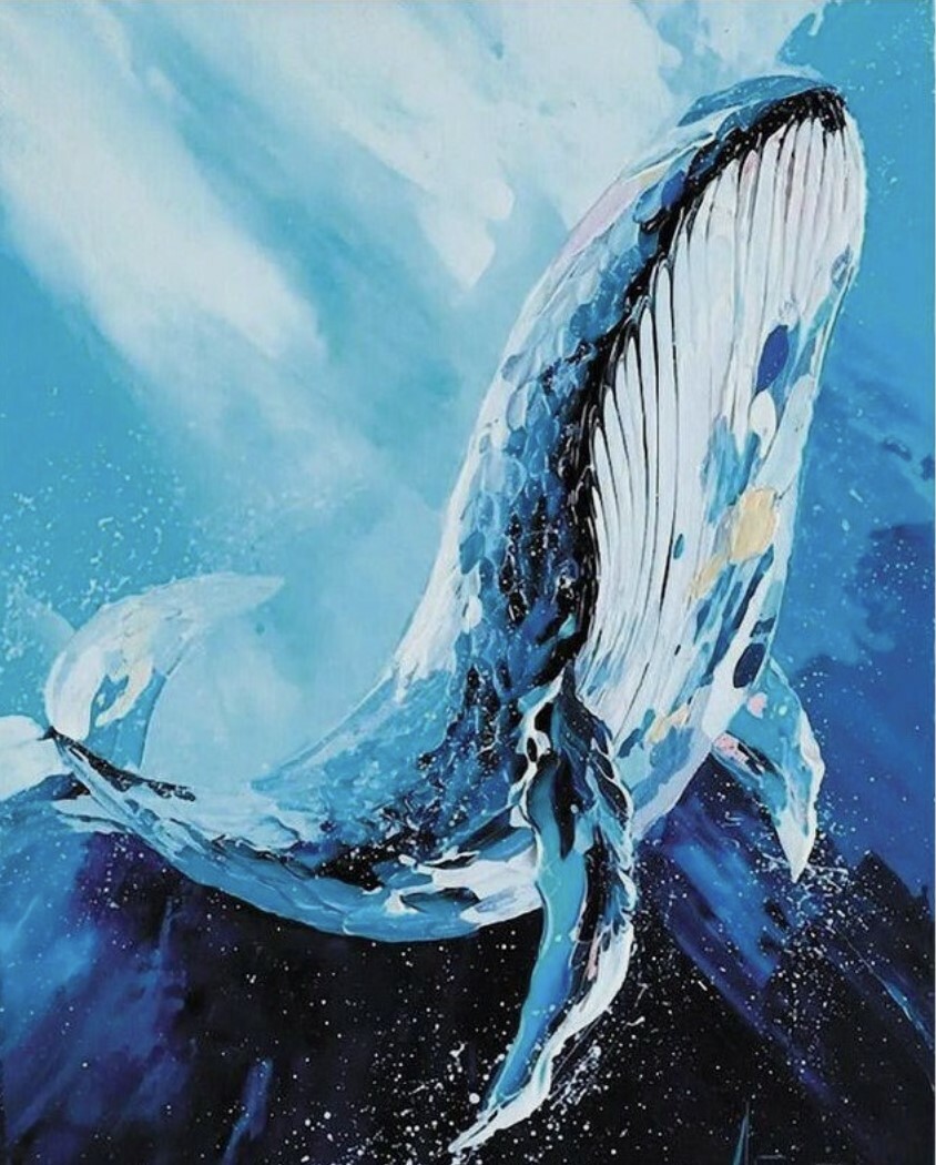 Кит