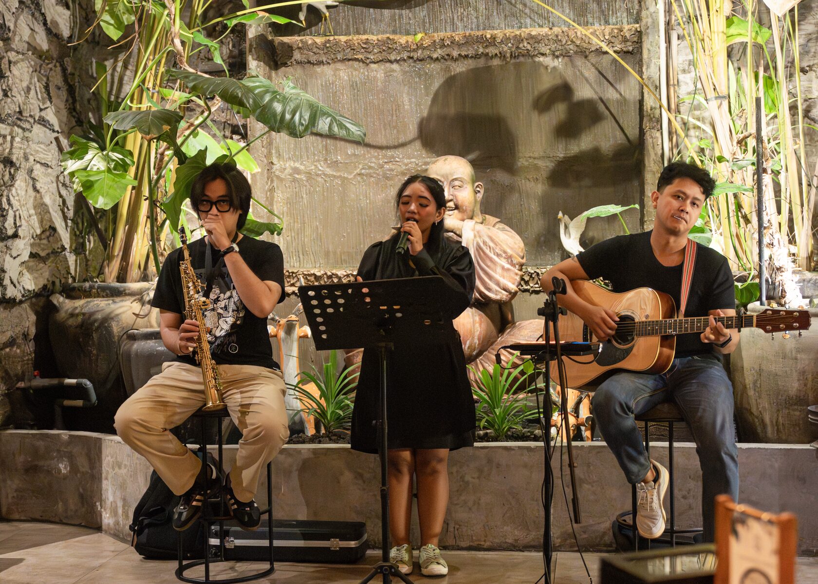 Live music entertainment