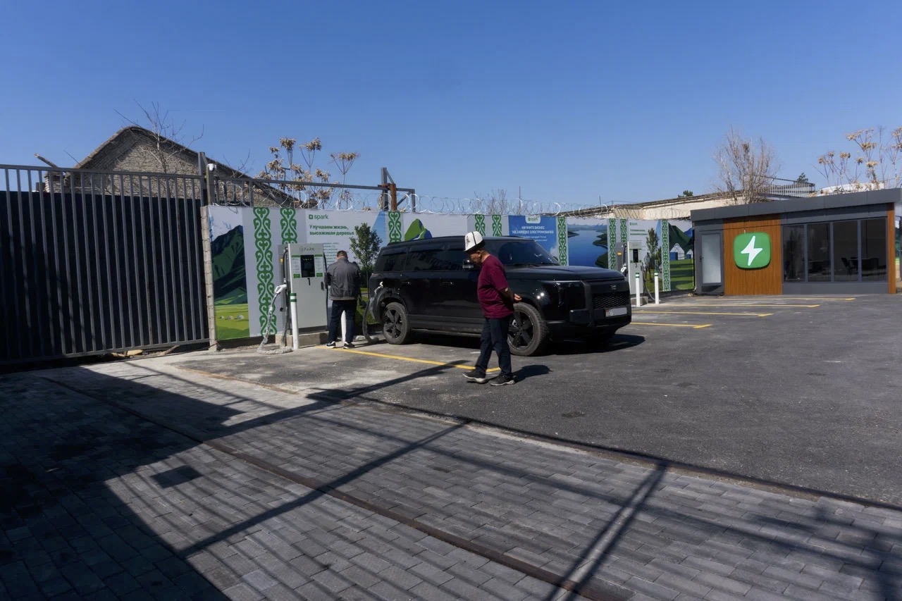 Экологическая акция Spark — посадка деревьев