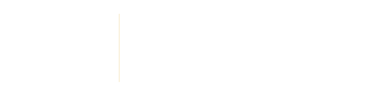 Concept illustrator