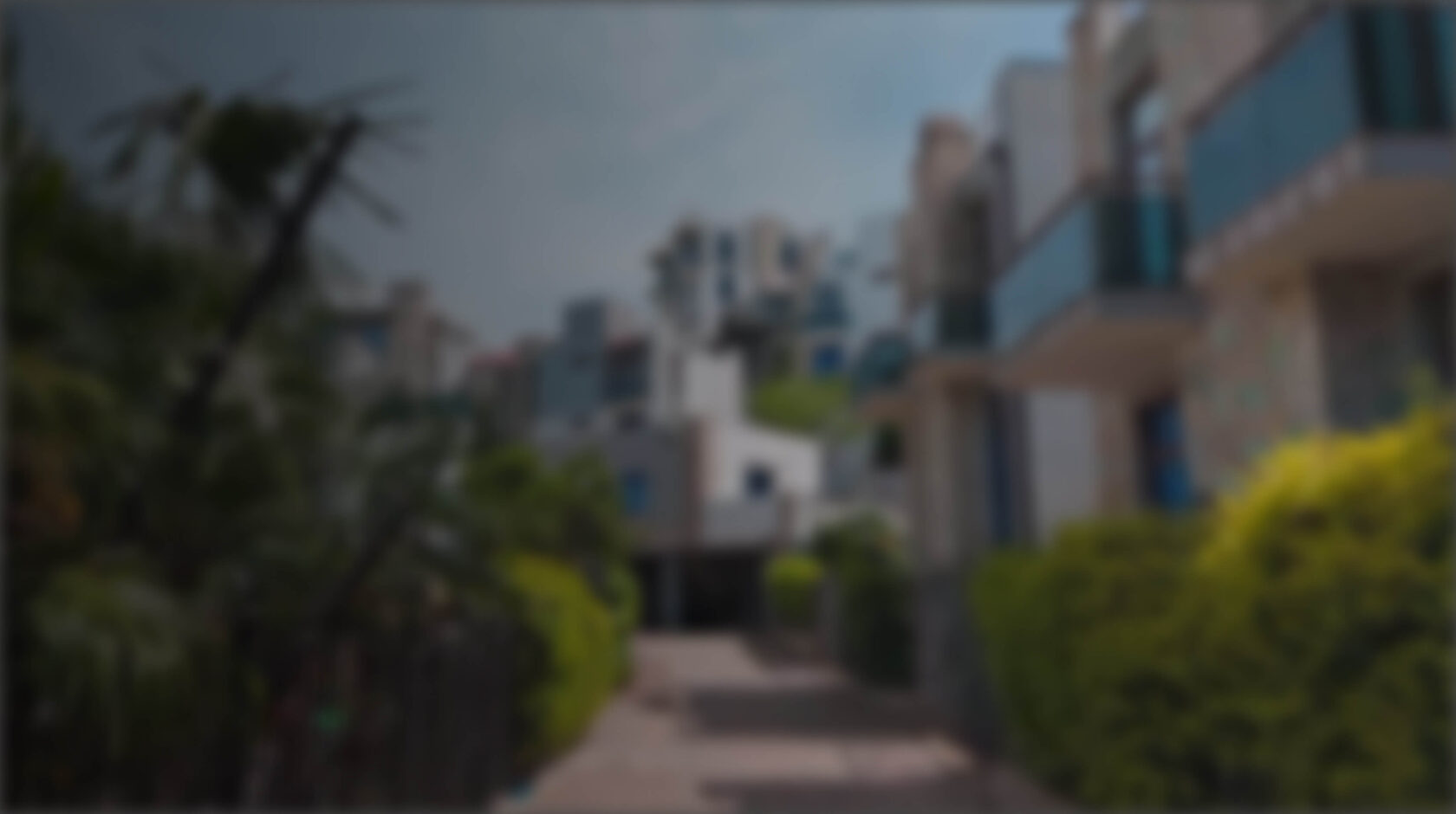 Background Preview