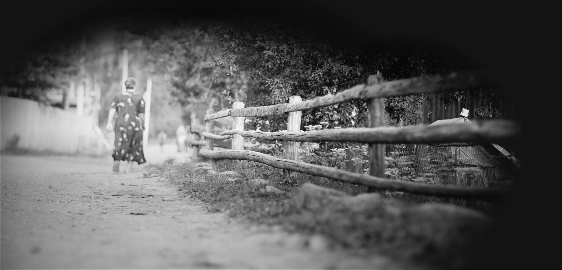 A woman wandering along the backyard