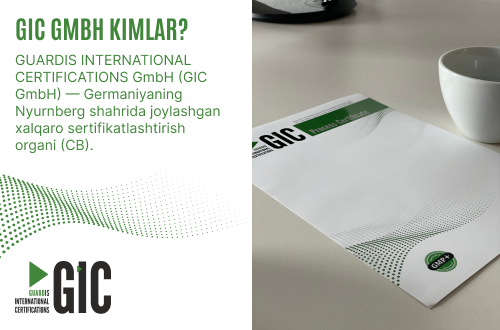 GIC GmbH kimlar?