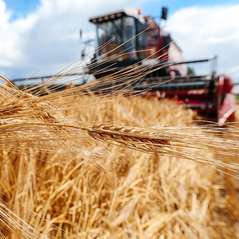 barley exporter