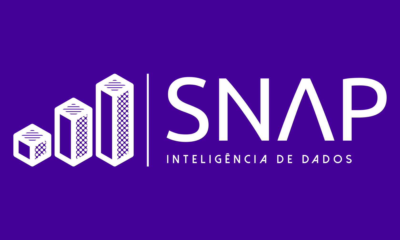 SNAP Data Intelligence