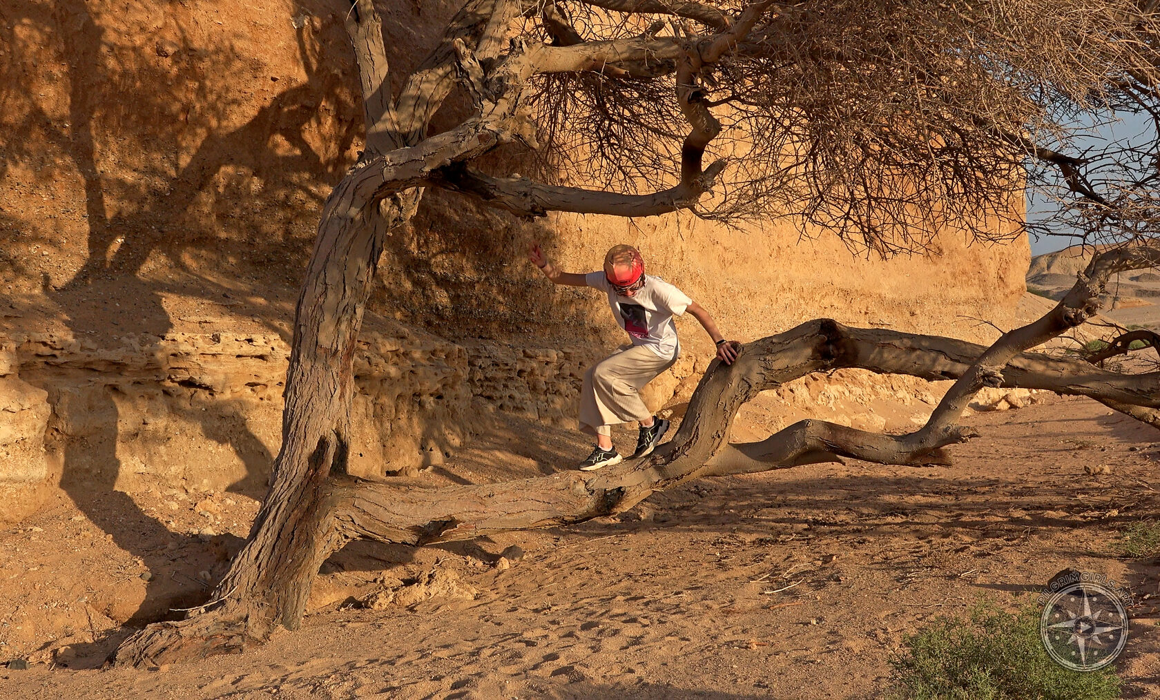 Travels (photos)