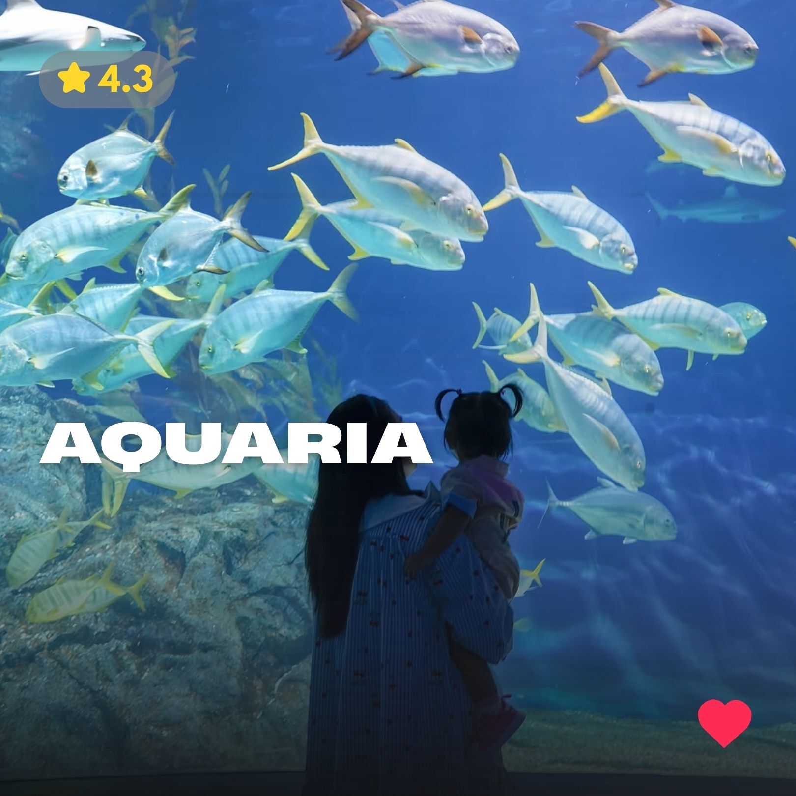 Куда пойти с детьми на Пхукете - Aquaria