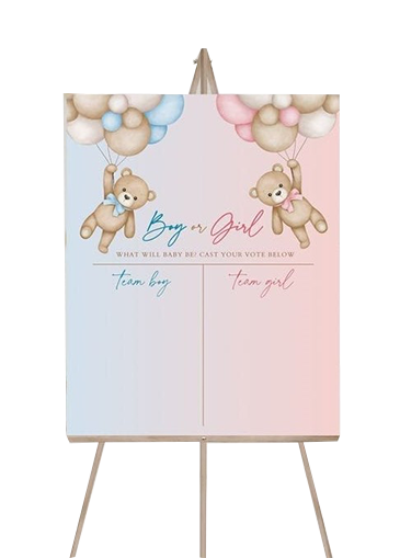 Гендер паті